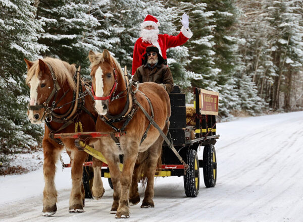 photo of santa on horse-drawn wagon