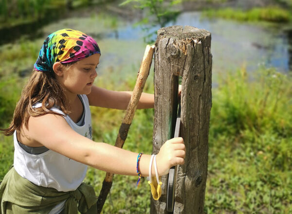 teen girl reading interpretive post along the mcnaughton fit trail